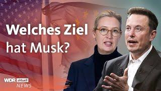 Interview mit Alice Weidel: Diese Interessen verfolgt Elon Musk in Europa | WDR Aktuelle Stunde