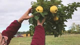 5 Fragen an...Simon Junge - Sterngartenodyssee