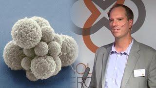 Dan Gibson: Design and Synthesis of cells from the bottom up