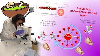 Amino Acid Racemization (Dating Technique): Aspects of Archaeology