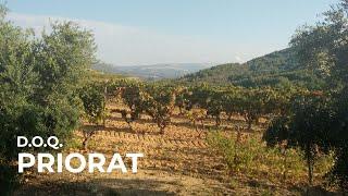 Spanish Wine Regions: Priorat