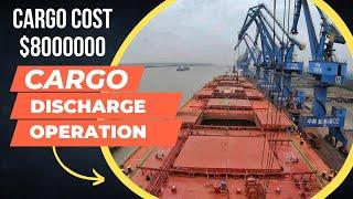 CARGO Discharging Operation of a MEGASHIP | Discharging Iron Ore | Horizon Tales