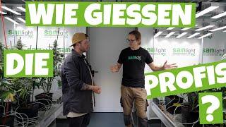 Wie man Pflanzen richtig bewässert ? | Wie gießen die GROW PROFIS von SANlight ?