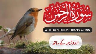 surah Rahman with Urdu hindi Translation full | Ramazan 08