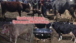 МОЛБОЗОРИ ГУЛАКАНДОЗ 28-ДЕКАБР ОЧА БАЧА ВА БУКАЧАХО НИГОХБОРИ