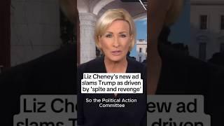 Liz Cheney's new ad slams Trump as driven by 'spite and revenge'