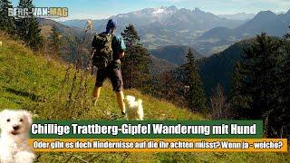 Trattberg wandern mit Hund: Gipfelkreuz & "Bergsee" inklusive