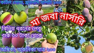 অনেক কম দামে আপনারা ভালো ভালো লেবুর ভ্যারাইটি ও আমের ভ্যারাইটি পেয়ে যাবেন। মা জবা নার্সারি ভ্রমণ।