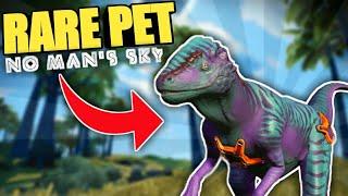 RARE RAPTOR PET | No Man's Sky Companions Update