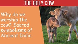 Worship the cow? The symbolism of the sacred cow (go) in Hinduism - The Dharmic Perspective