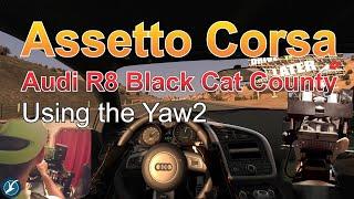 Assetto Corsa Audi R8 Black Cat County with Yaw2