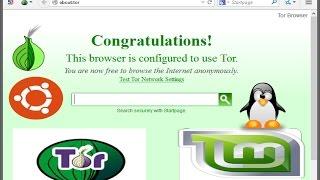 How To Install Tor Browser [ubuntu, Linux Mint 18]