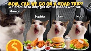 Cat Memes Family Roadtrip Compilation Full 1 Hour