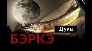 БЭРКЭ. Рыбалка в Якутии. Щука.//Fishing in Yakutia. Pike.