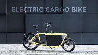 10 Most Amazing Electric Cargo Bike You Need to See