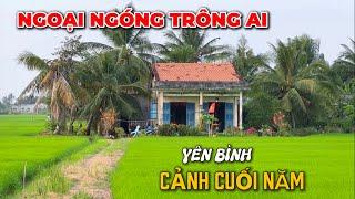 Con Lộ Quê Ngày Giáp Tết | Thân Thương Cảnh Ruộng Xanh Ngát Mùa Cuối Năm .