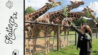 ZOO KEEPER FOR THE DAY AT ZSL WHIPSNADE ZOO | Vlog 067 | Katie Pix