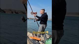 Самый неожиданный улов дня #рыбалка #рыбалка2025 #юмор #fishing