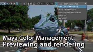 Color Management in Maya: Previewing and Rendering