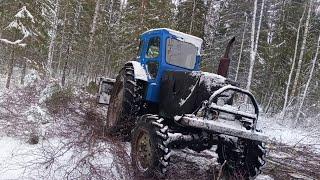 Заехал в делянку.