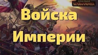 Гайд по войскам Империи Total War Warhammer II/III