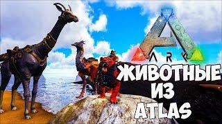 ЗВЕРИ ИЗ ATLAS ТЕПЕРЬ В ARK! НОВЫЕ СУЩЕСТВА В АРК! КРУТОЙ МОД! ► Ark: Survival Evolved