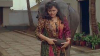 Rajendrudu Gajendrudu Movie || Soundarya Scold Elephant Hilarious Comedy Scene