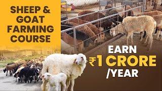 Sheep & Goat Farming Course Trailer - Earn Rs 1 Crore/Year | ffreedom app