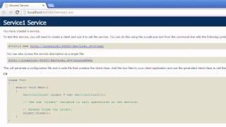 How to test WCF Service using wcftestclient