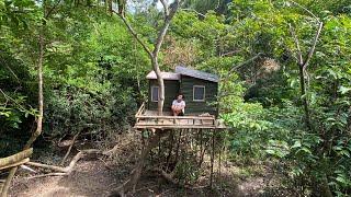 Camping hujan deras || Membangun rumah pohon di dalam hutan