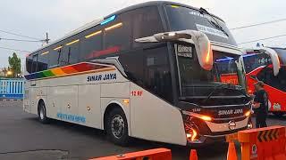 Keberangkatan 2 Unit SINAR JAYA SLEEPER DAN EXECUTIVE CLASS Terminal Maospati Magetan