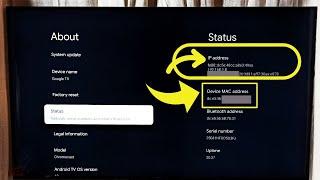 KODAK Smart Google TV : How to Find IP Address and MAC Address | 2 Ways