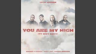 You Are My High (Ty moy kayf) (Latin Version)