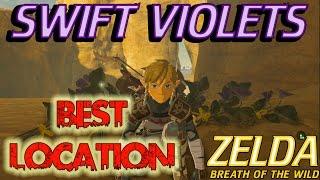 Zelda Breath of the Wild - Where to find Swift Violets (Upgrade your climbing gear)