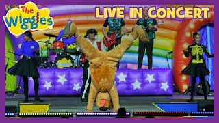 Do the Skeleton Scat!  The Wiggles Live in Concert  Wiggly Big Day Out!  Kids Music