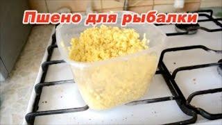 Как приготовить пшено для рыбалки