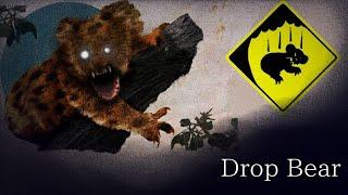 ОСТОРОЖНО КОАЛЫ ПАДАЮТ С НЕБА ️|| Drop bear