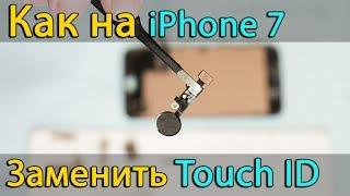 iPhone 7 Замена кнопки Home