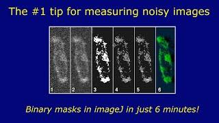 Measuring noisy images using binary masks in ImageJ