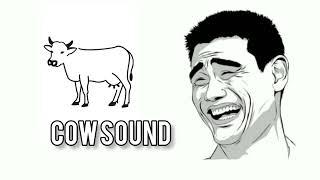 Cow Called Sound | Funny Background Sound | Funny Sound Effect | No Copyright Sound