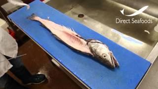 Direct Seafoods: How to Fillet a Hake (Round Fish)