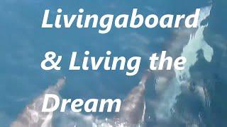 Liveaboard & living the dream