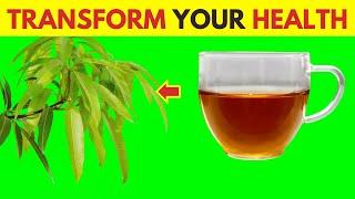 10 Amazing Benefits Of MANGO LEAVES Tea & Why You Should Drink It