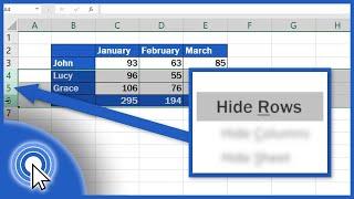 How to Hide Rows in Excel