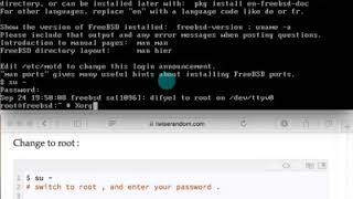 How to install vmware tools on freebsd