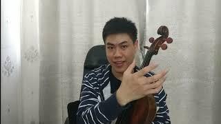 Belajar Biola, Mengenal Bagian-bagian Biola (Violin) dan Fungsinya Keseluruhan