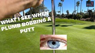 What I see when Plumb Bob Putting