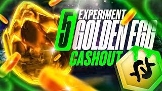 I Hit The Perfect Experiment Board and Cashed Out The Toxic Golden Egg!