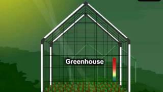 What is Green house effect and how is it associated with Global Warming