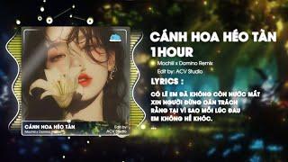 [1 HOUR] Cánh Hoa Héo Tàn cuộc tình cũng đã tan - Mochiii ( Style Huy PT ) | Có Lẽ Em Đã Không Còn